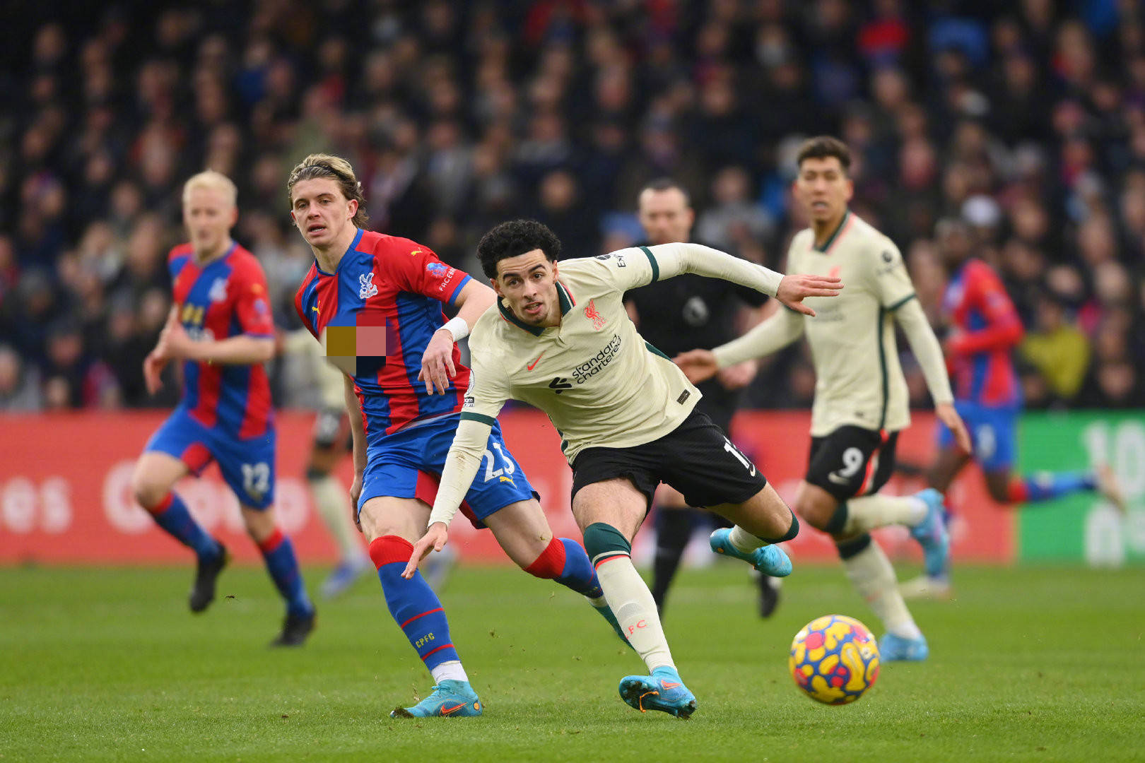 还要确保自 还要确保自